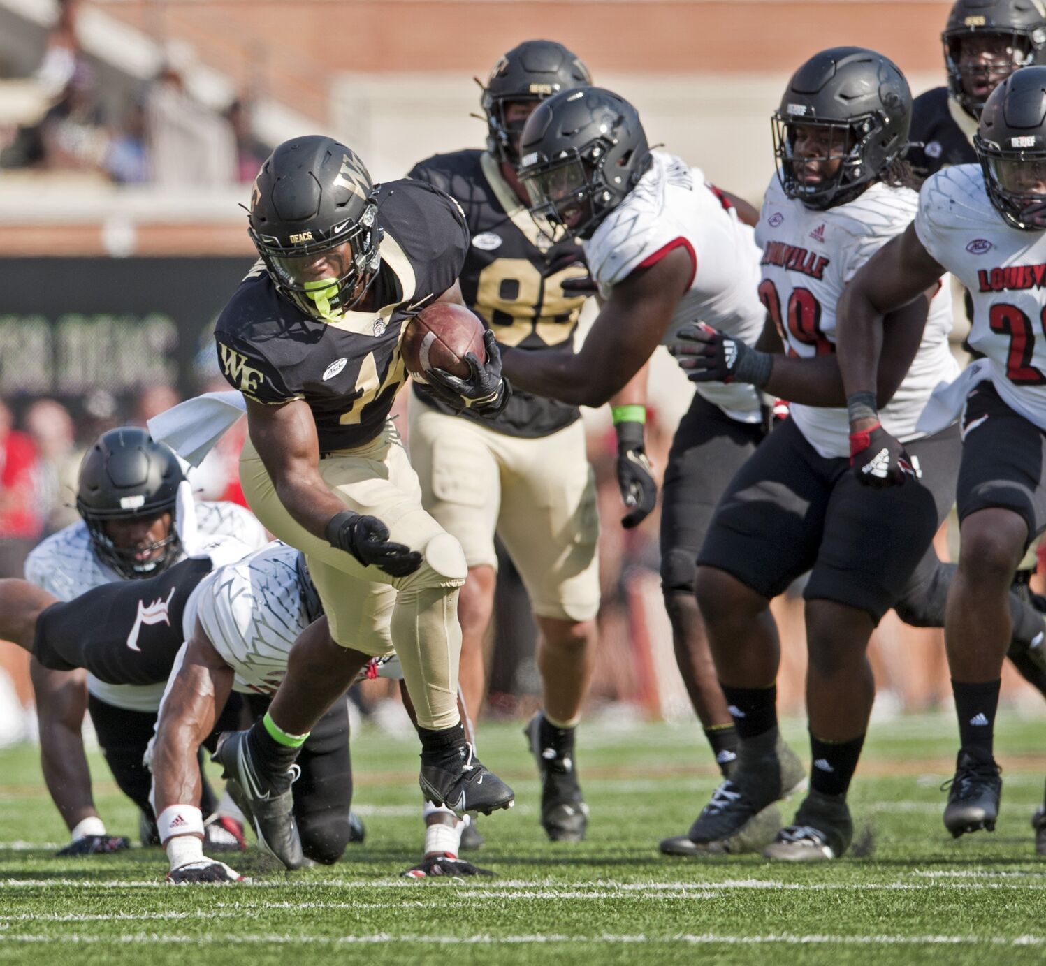 Wake Forest Louisville football